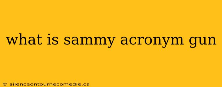what is sammy acronym gun