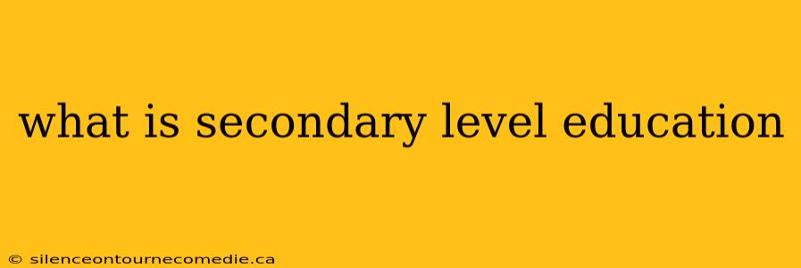 what is secondary level education