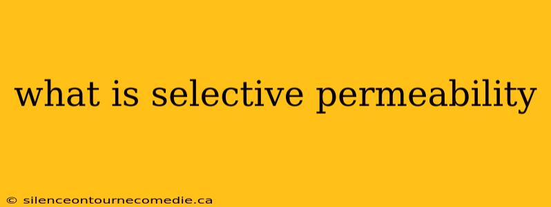 what is selective permeability