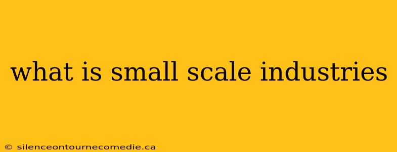 what is small scale industries