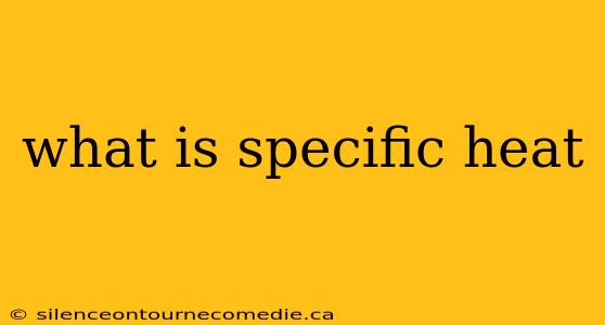 what is specific heat