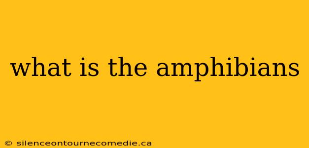 what is the amphibians