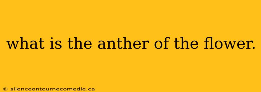 what is the anther of the flower.