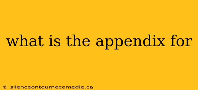 what is the appendix for