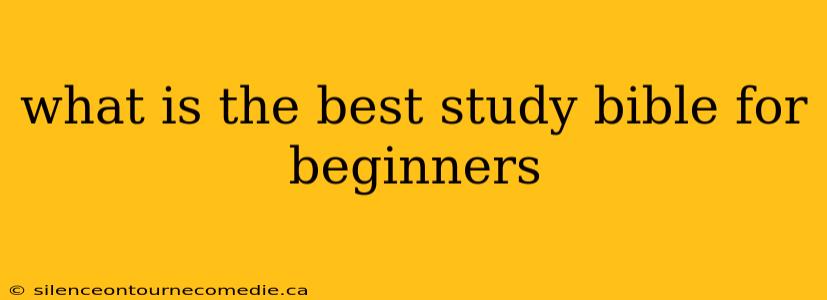 what is the best study bible for beginners