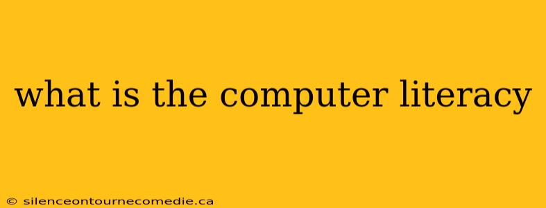 what is the computer literacy