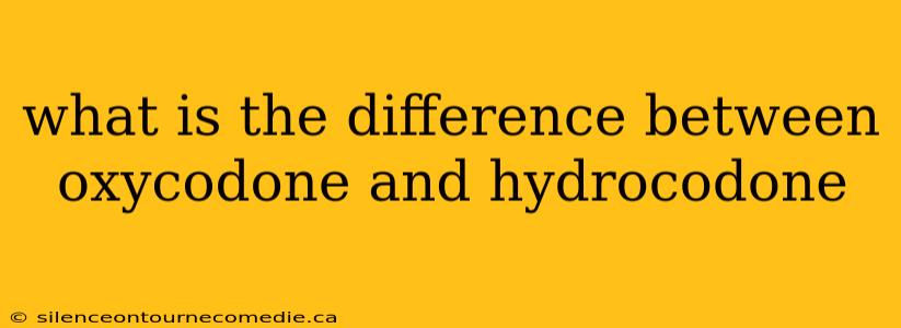 what is the difference between oxycodone and hydrocodone