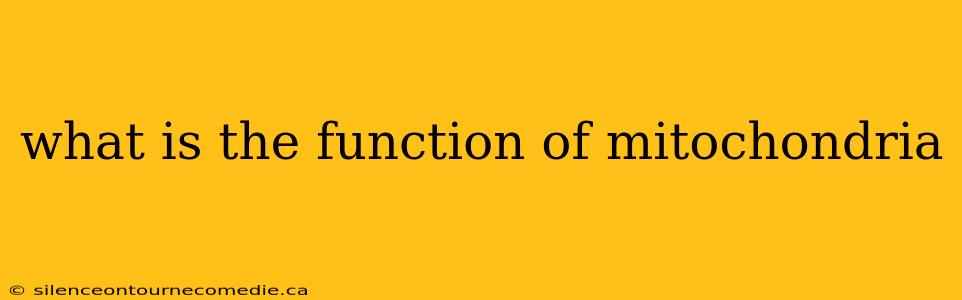 what is the function of mitochondria