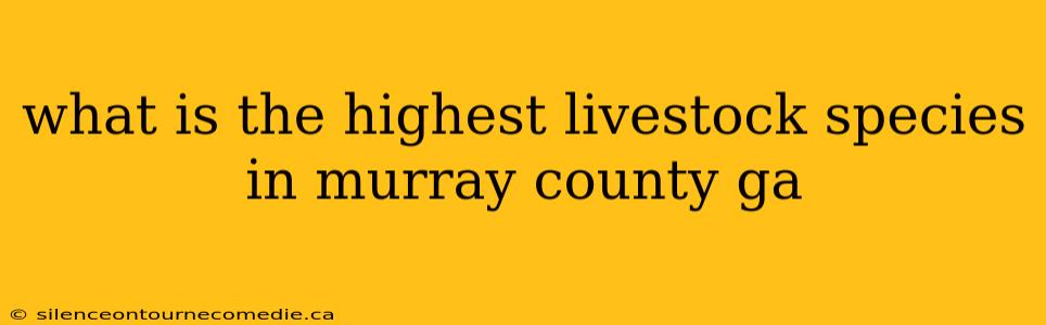what is the highest livestock species in murray county ga