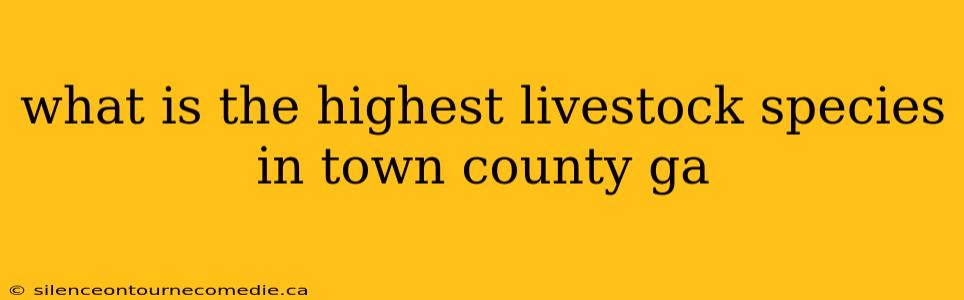 what is the highest livestock species in town county ga