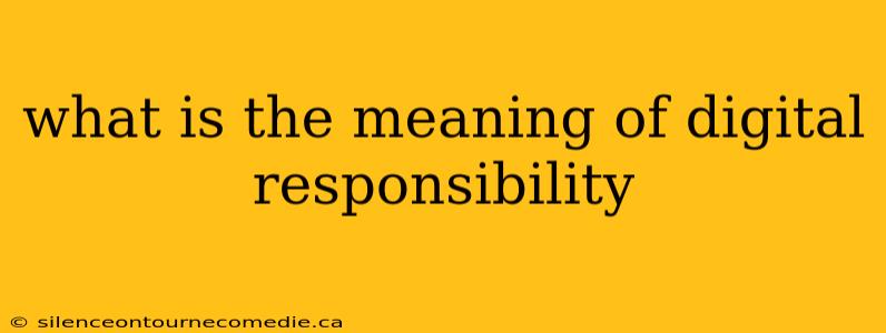 what is the meaning of digital responsibility