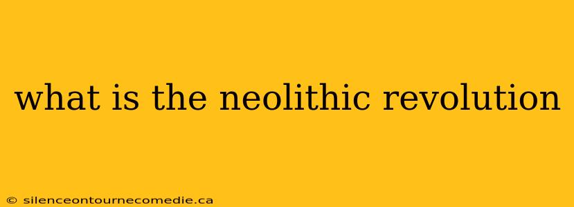 what is the neolithic revolution
