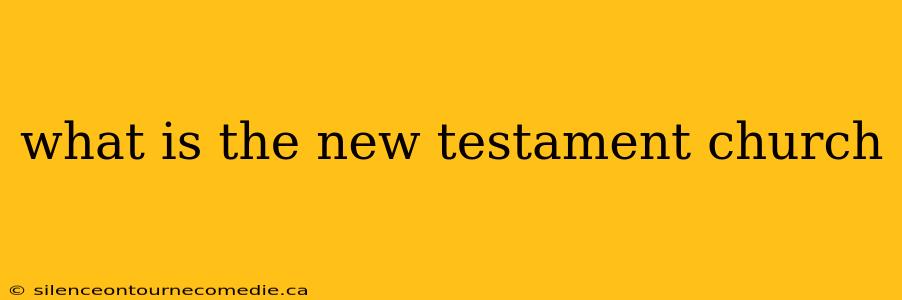 what is the new testament church