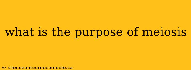 what is the purpose of meiosis