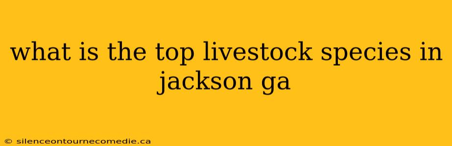 what is the top livestock species in jackson ga