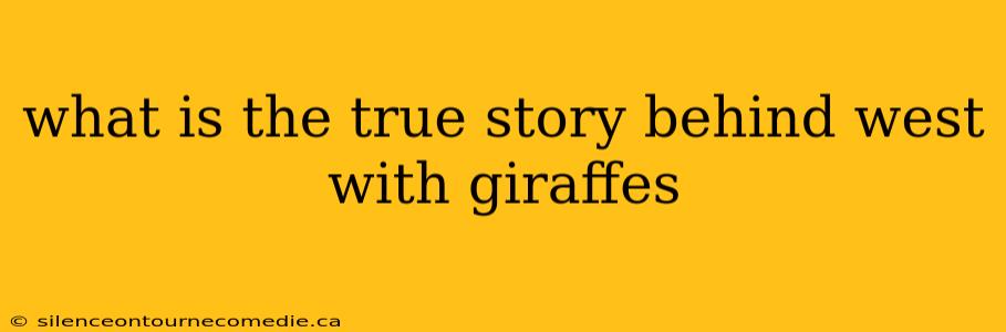 what is the true story behind west with giraffes