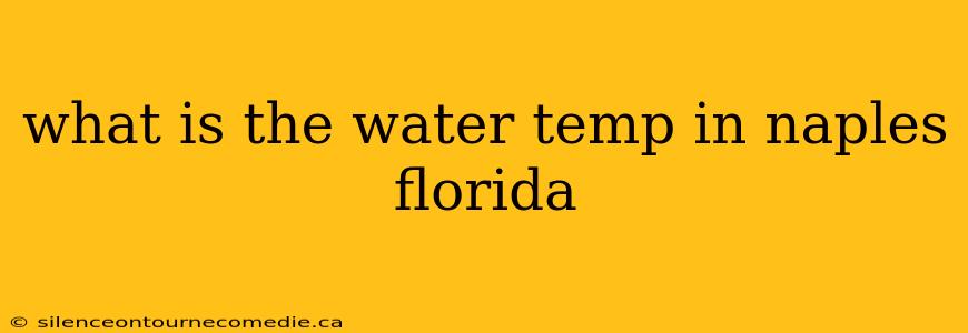 what is the water temp in naples florida