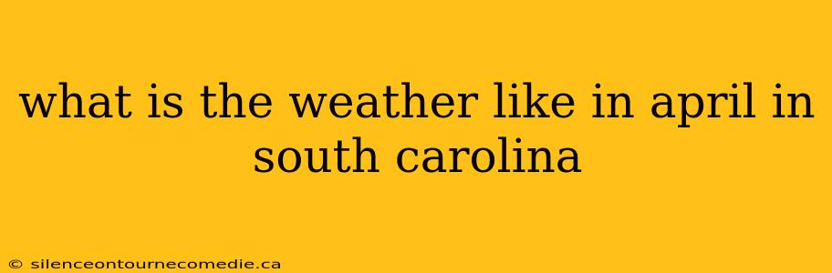 what is the weather like in april in south carolina