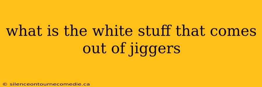 what is the white stuff that comes out of jiggers