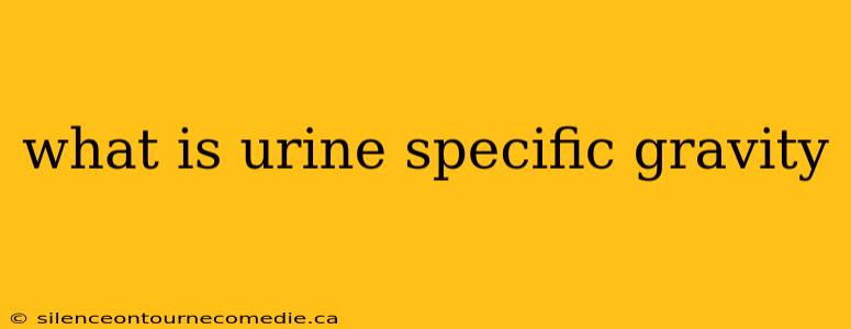 what is urine specific gravity