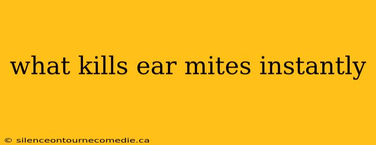 what kills ear mites instantly