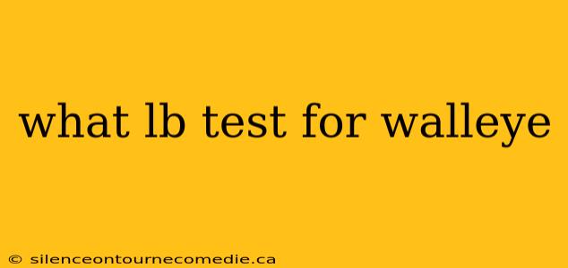 what lb test for walleye