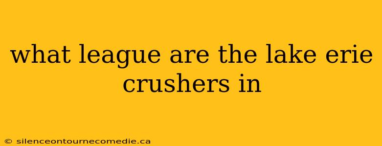 what league are the lake erie crushers in
