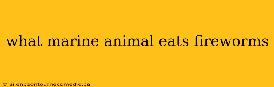 what marine animal eats fireworms
