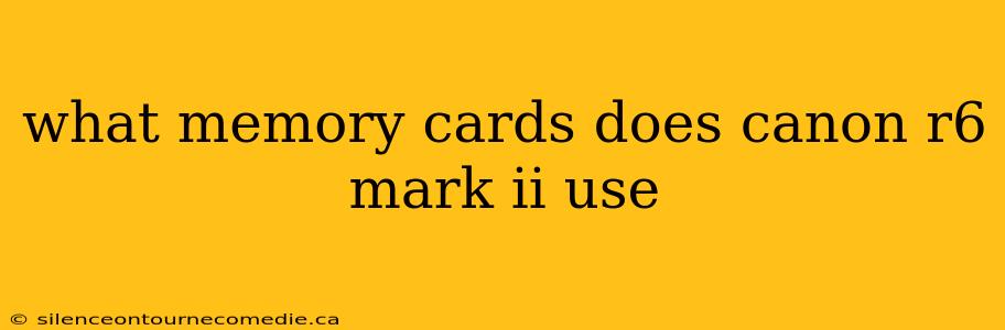what memory cards does canon r6 mark ii use