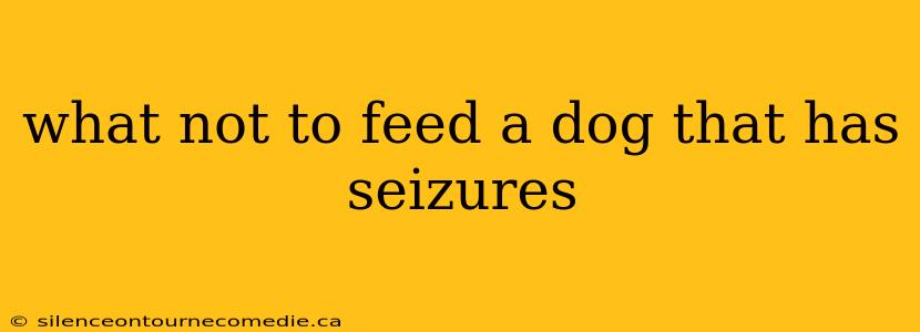 what not to feed a dog that has seizures