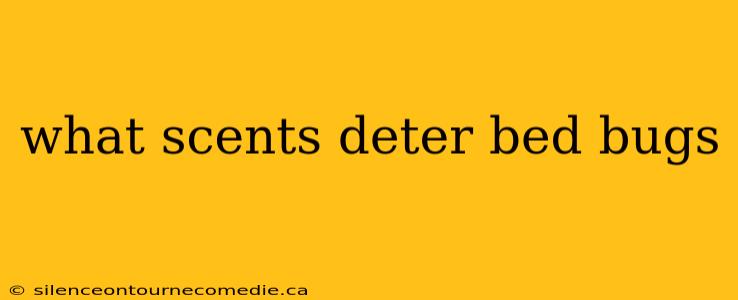 what scents deter bed bugs