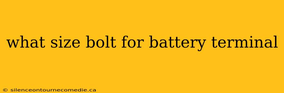 what size bolt for battery terminal