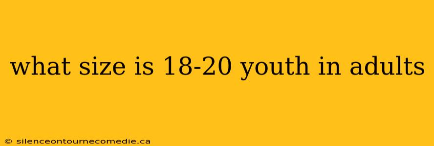 what size is 18-20 youth in adults