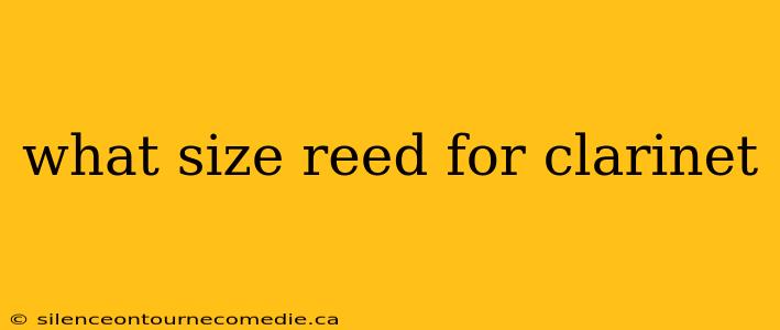 what size reed for clarinet