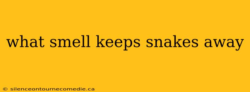 what smell keeps snakes away