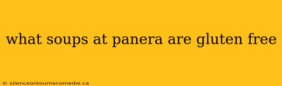 what soups at panera are gluten free