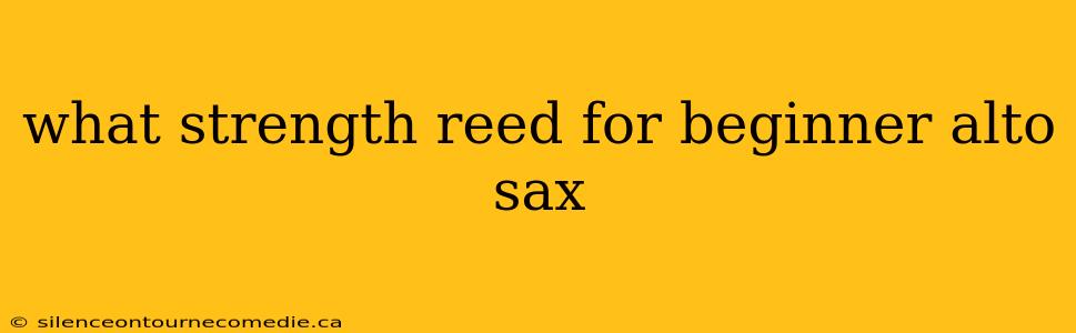 what strength reed for beginner alto sax
