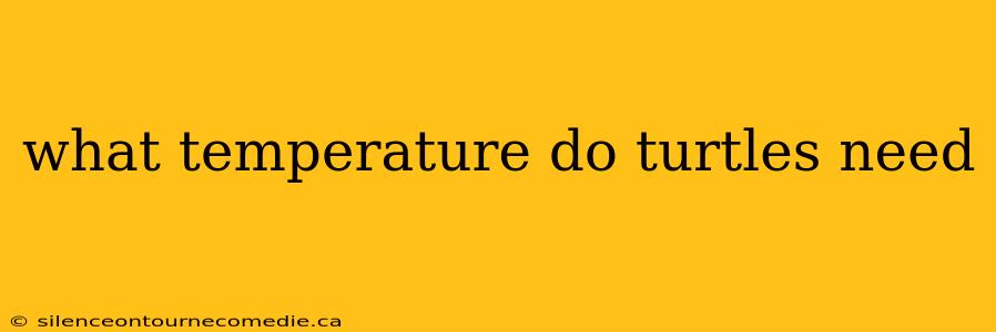 what temperature do turtles need