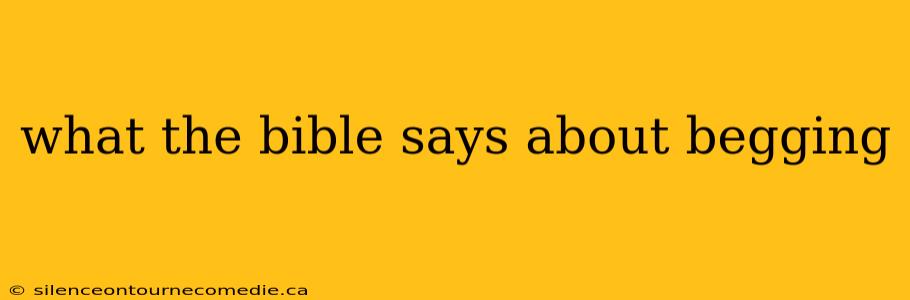 what the bible says about begging