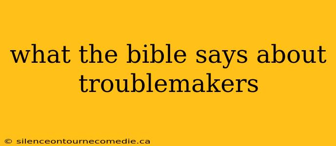 what the bible says about troublemakers