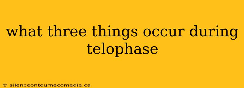 what three things occur during telophase