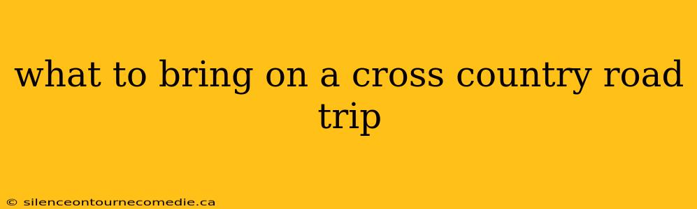 what to bring on a cross country road trip