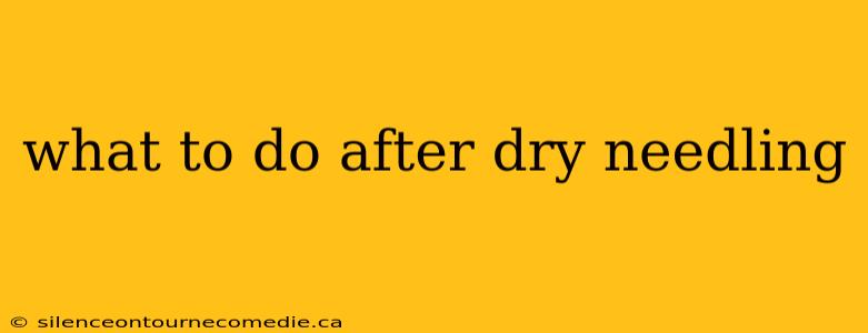 what to do after dry needling