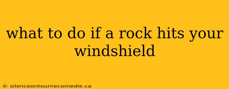 what to do if a rock hits your windshield