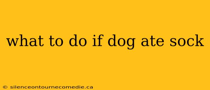 what to do if dog ate sock