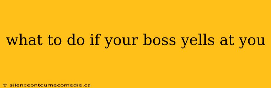 what to do if your boss yells at you