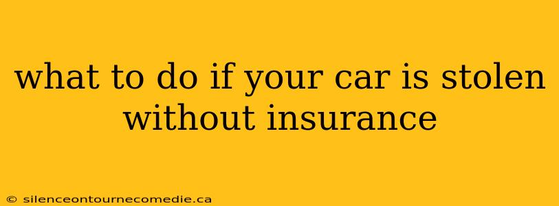 what to do if your car is stolen without insurance
