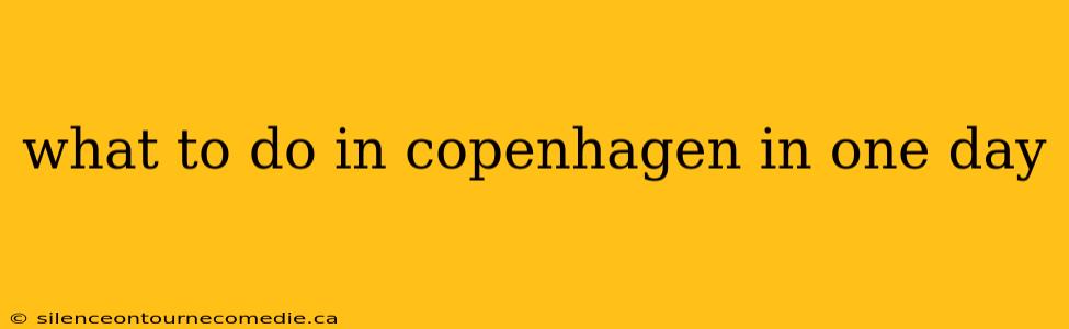 what to do in copenhagen in one day
