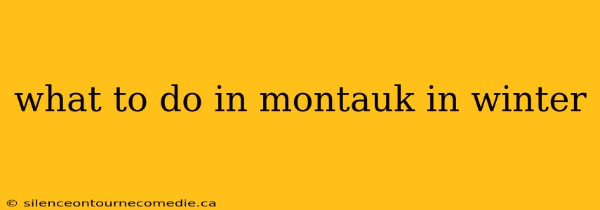 what to do in montauk in winter