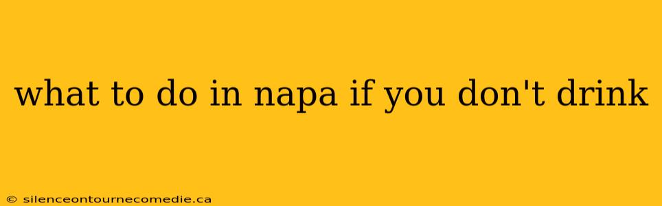 what to do in napa if you don't drink